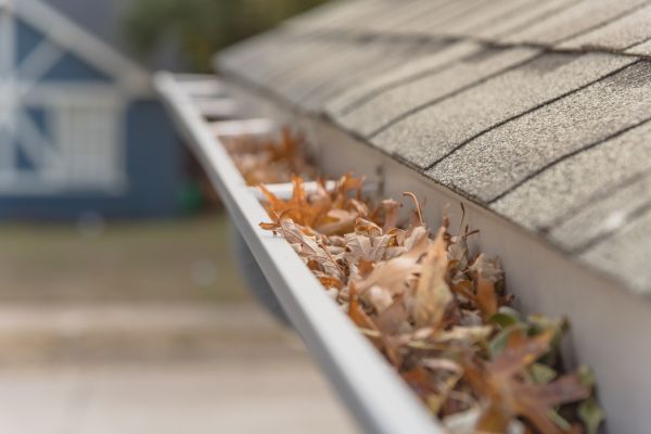 Leaf Barrier Installation in Mooresville